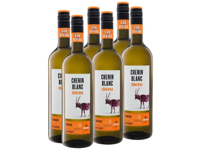 6 x 0,75-l-Flasche Weinpaket CIMAROSA Chenin Blanc Südafrika Western Cape trocken, Weißwein