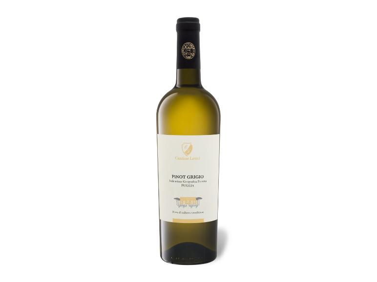 CANTINE LEUCI Pinot Grigio Puglia IGP trocken koscher, Weißwein 2025