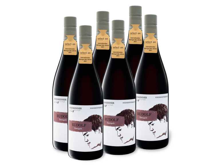 6 x 0,75-l-Flasche Weinpaket Weinkenner by Pfaffl Rudolf Zweigelt trocken, Rotwein