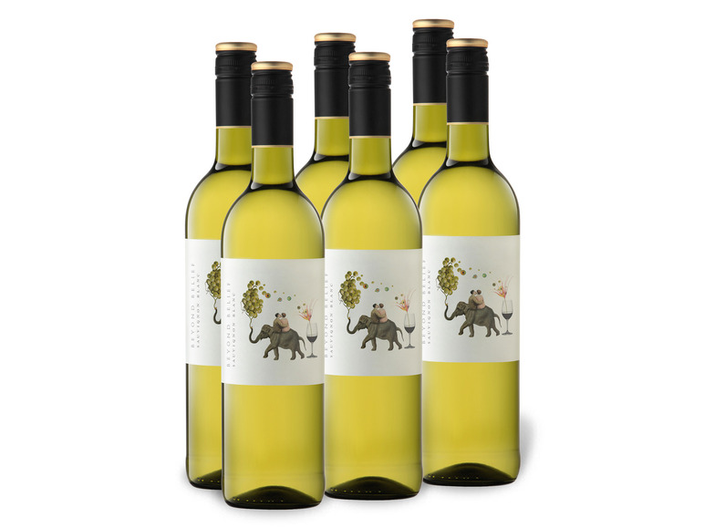 6 x 0,75-l-Flasche Beyond Belief Sauvignon Blanc Western Cape trocken, Weißwein