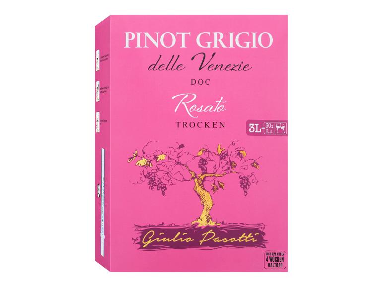 GIULIO PASOTTI Pinot Grigio delle Venezie Rosato DOC trocken, Roséwein 2024