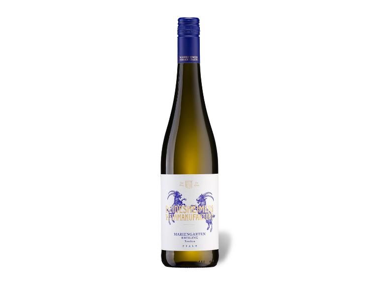 DEIDESHEIMER WEINMANUFAKTUR Forster Mariengarten Riesling Pfalz QbA trocken, Weißwein 2024