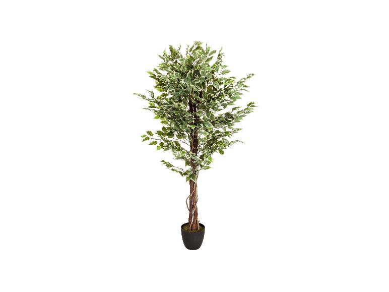 HJH OFFICE Kunstpflanze / Kunstbaum FICUS Kunststoff